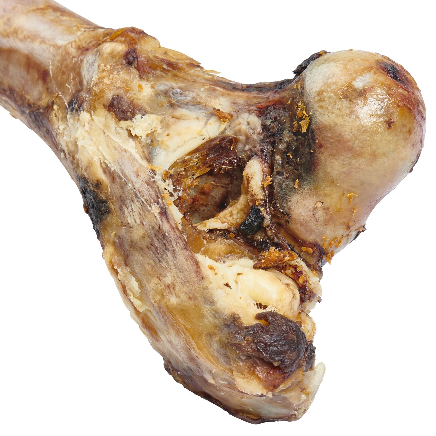 GIANT DOG BONE - GRASS-FED BEEF FEMUR BONE FOR LARGE DOGS