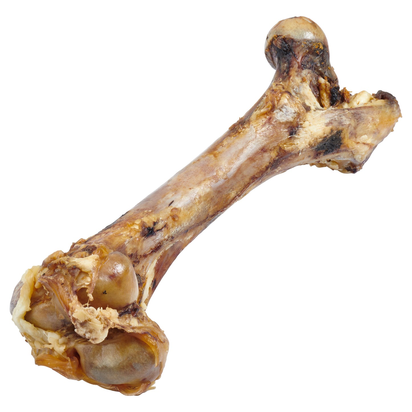 GIANT DOG BONE - GRASS-FED BEEF FEMUR BONE FOR LARGE DOGS