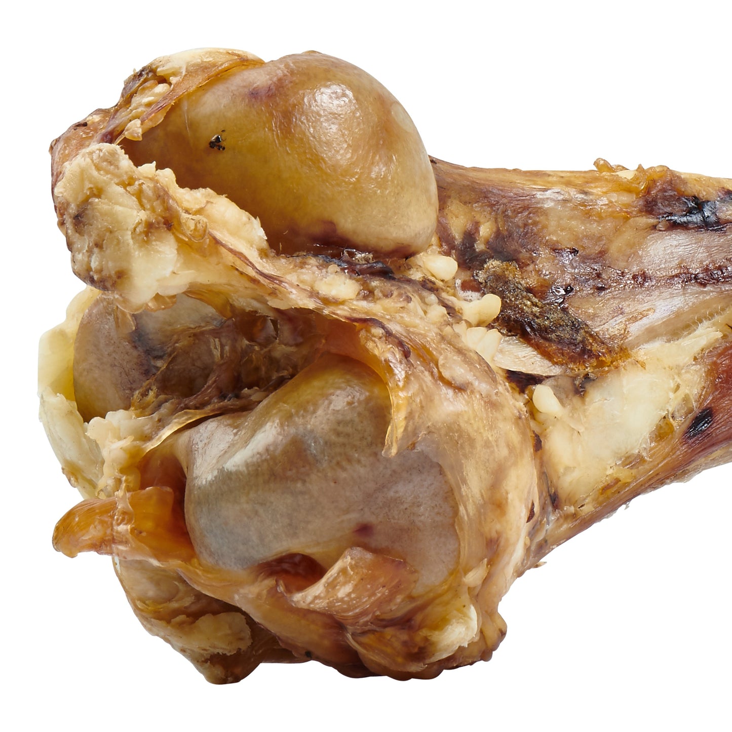 GIANT DOG BONE - GRASS-FED BEEF FEMUR BONE FOR LARGE DOGS