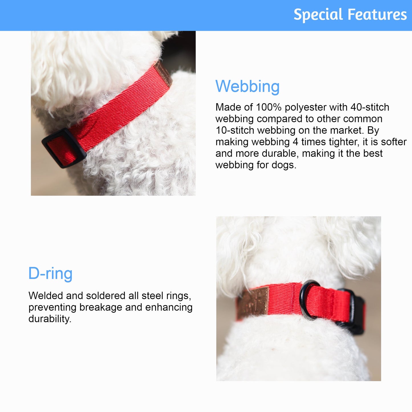 LOF DOG COLLAR