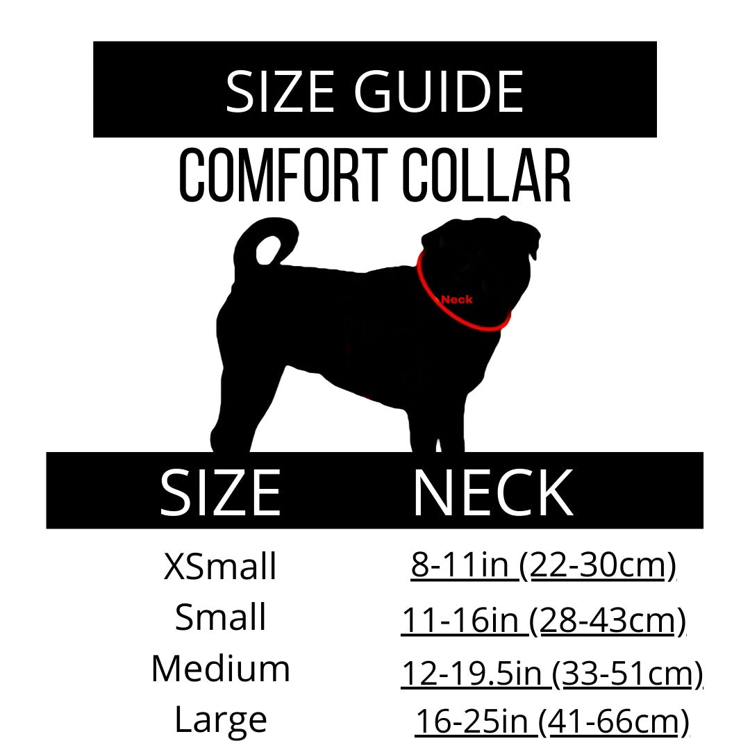"YOU'RE SO GOLDEN" COMFORT COLLAR