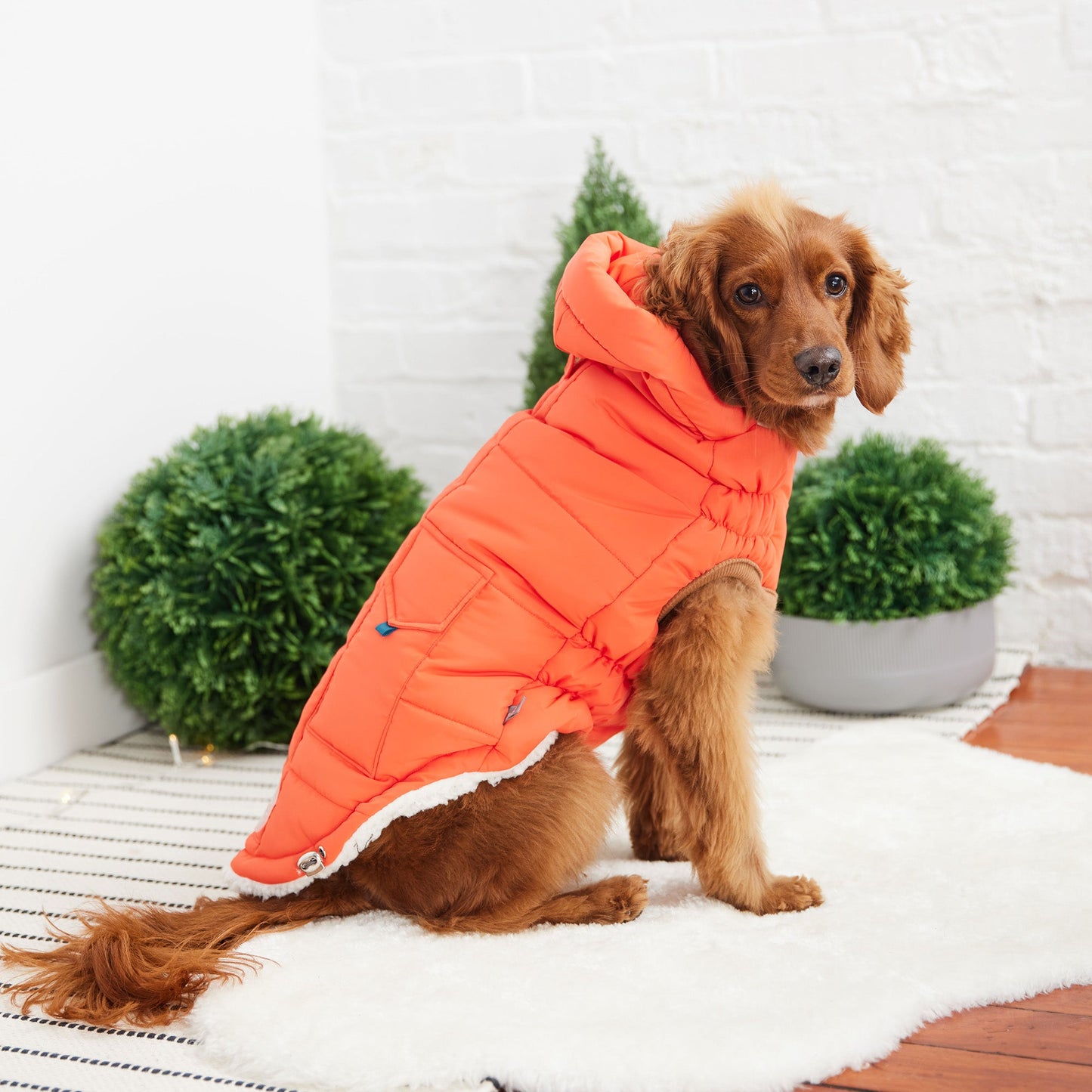 SUPER PUFF PARKA - ORANGE