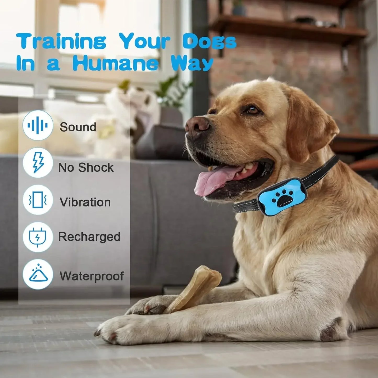 HUNDEFREUNDLICHES ANTI-BELL-HALSBAND