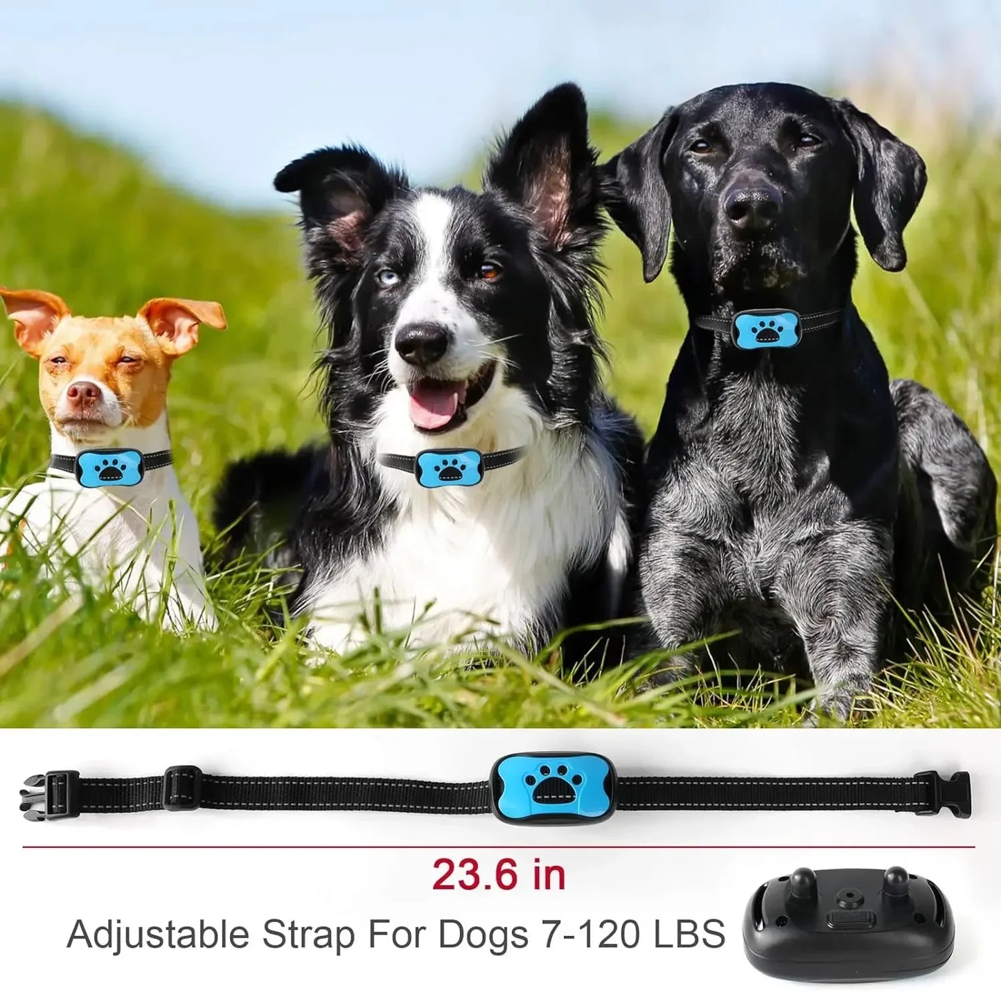 HUNDEFREUNDLICHES ANTI-BELL-HALSBAND