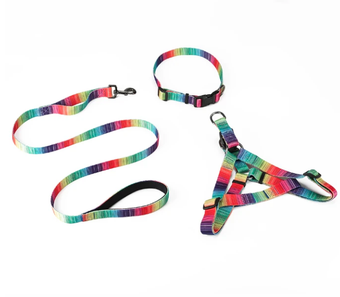MATCHING LEASH & COLLARS SET