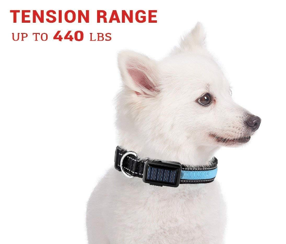 USB AND SOLAR CHARGE REFLECTIVE LED DOG COLLAR