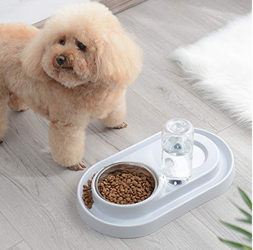 STAINLESS STEEL PET BOWLS WITH AUTOMATIC WATER BOTTLE