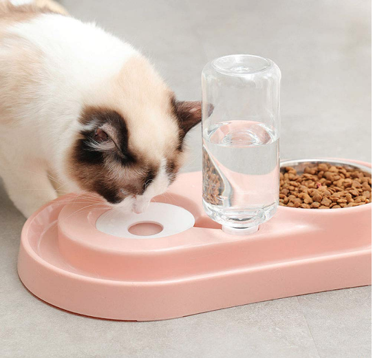 STAINLESS STEEL PET BOWLS WITH AUTOMATIC WATER BOTTLE