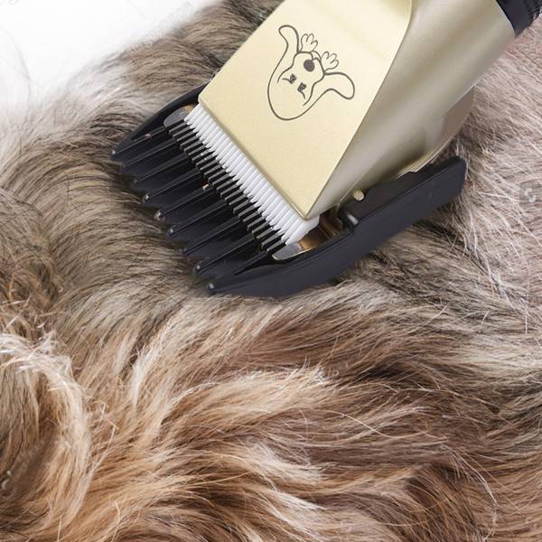 ELECTRIC DOG HAIR TRIMMER KIT