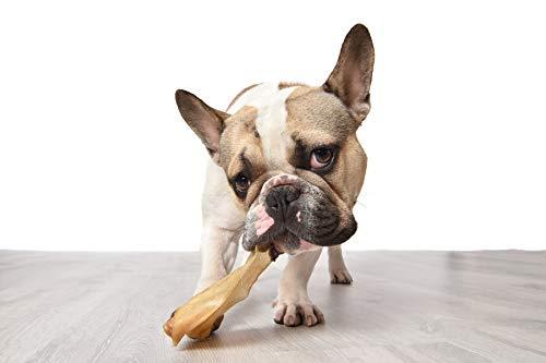 COW EARS FOR DOGS