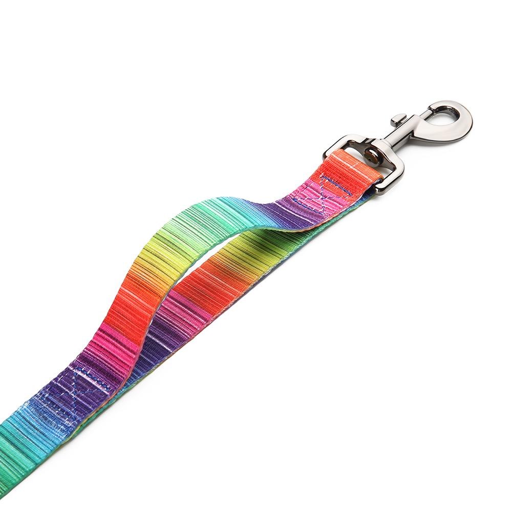 MATCHING LEASH & COLLARS SET