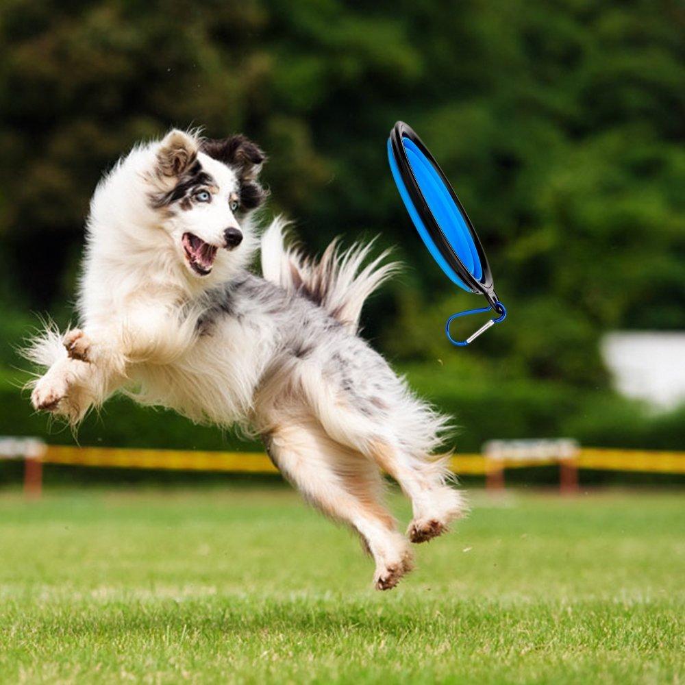 2 IN 1 DOG DRINKING WATER BOTTLE WITH BOWLS