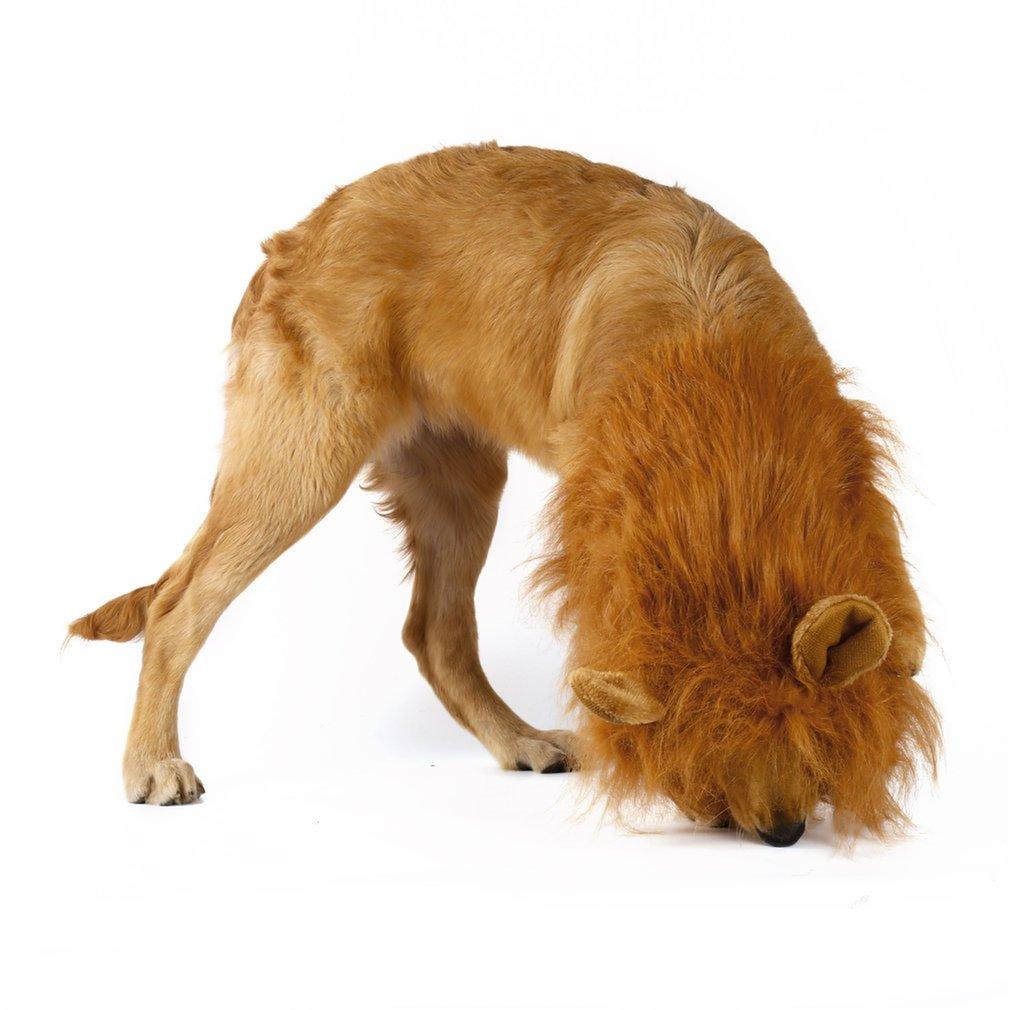LION THEME DOG WIG