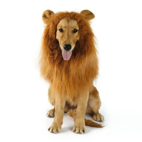 LION THEME DOG WIG