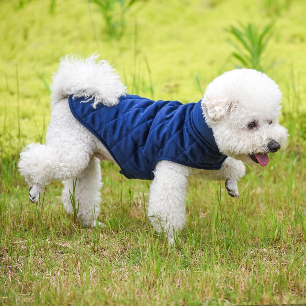DOGS WINTER WARM VEST