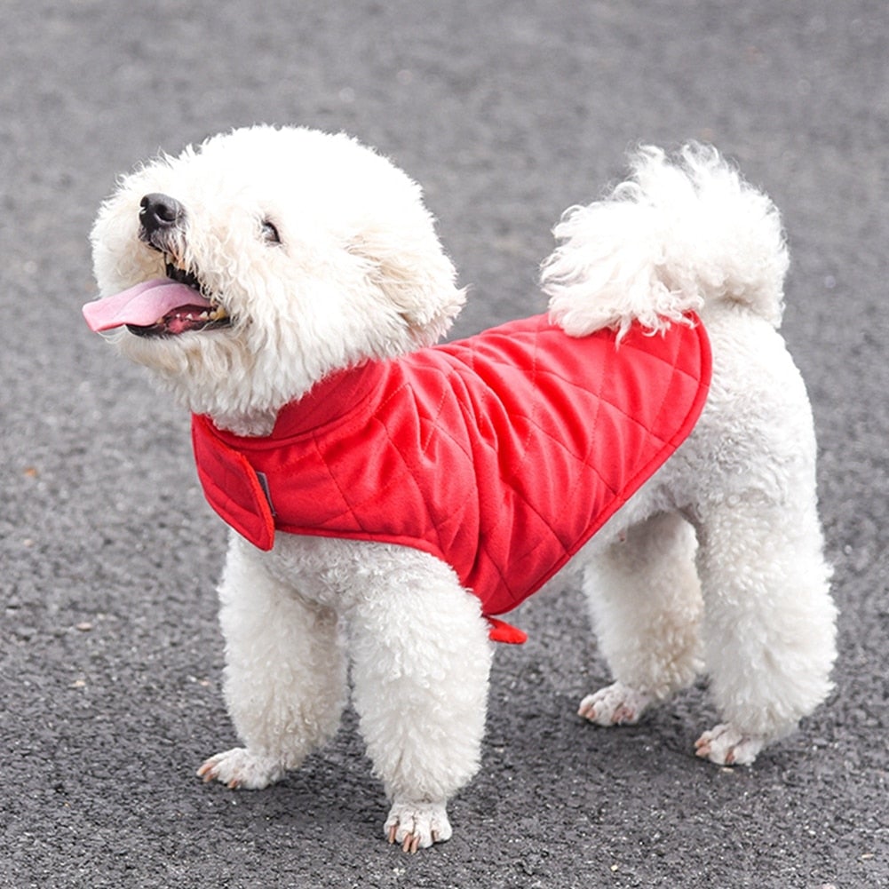 DOGS WINTER WARM VEST