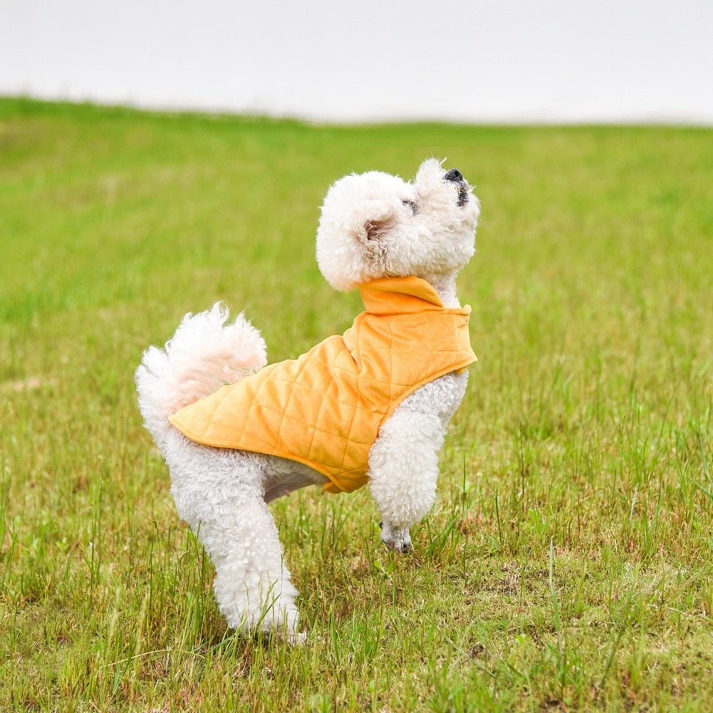 DOGS WINTER WARM VEST