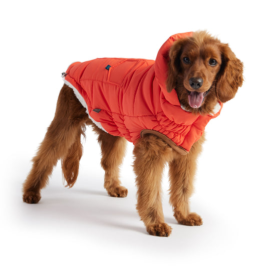 SUPER PUFF PARKA - ORANGE