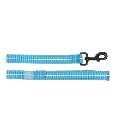 REFLECTIVE DOG LEASH - NEON BLUE