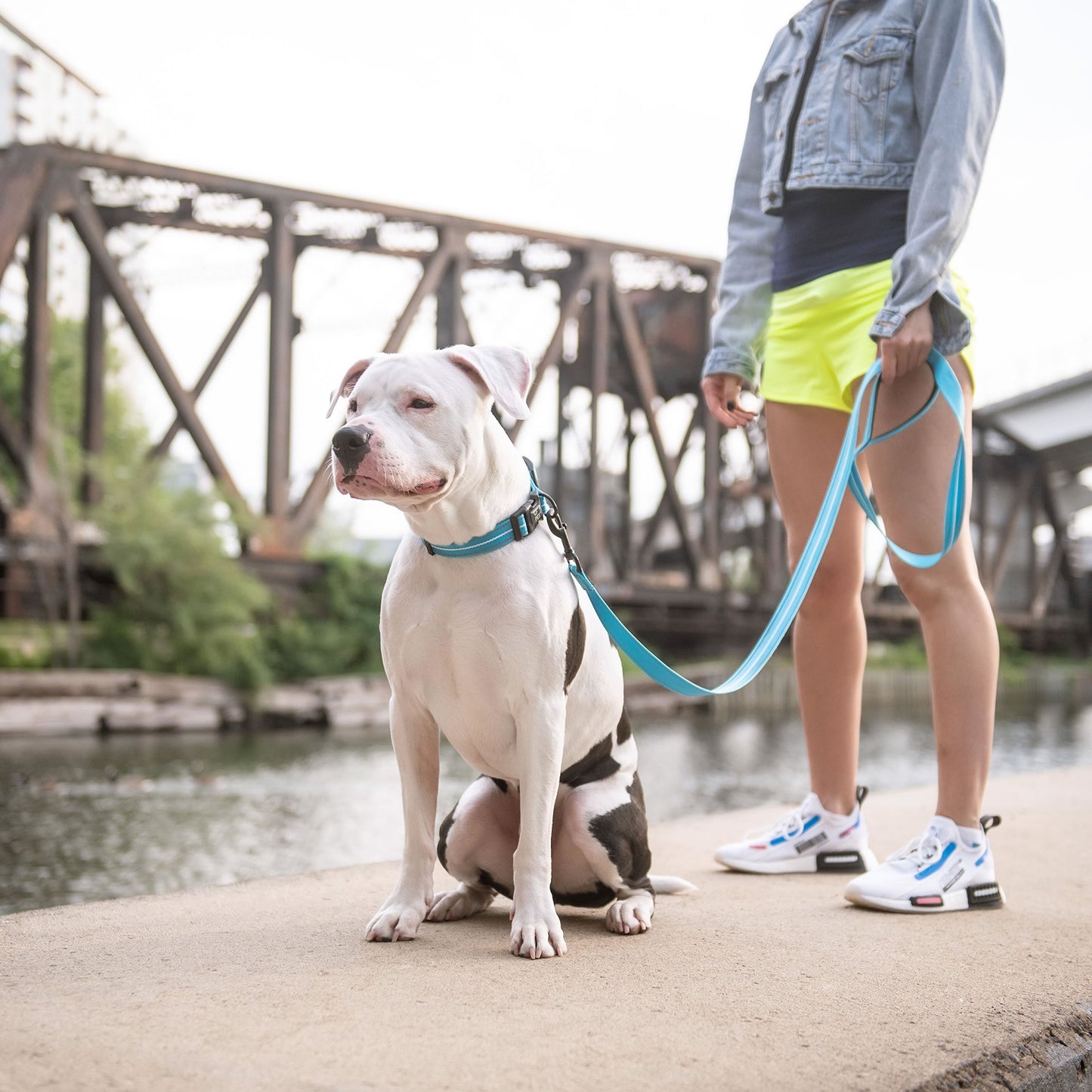 REFLECTIVE DOG LEASH - NEON BLUE