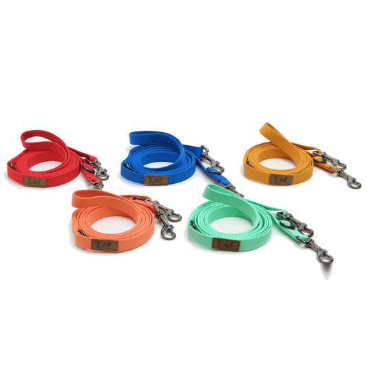 LOF FOLDING LEAD LEASH