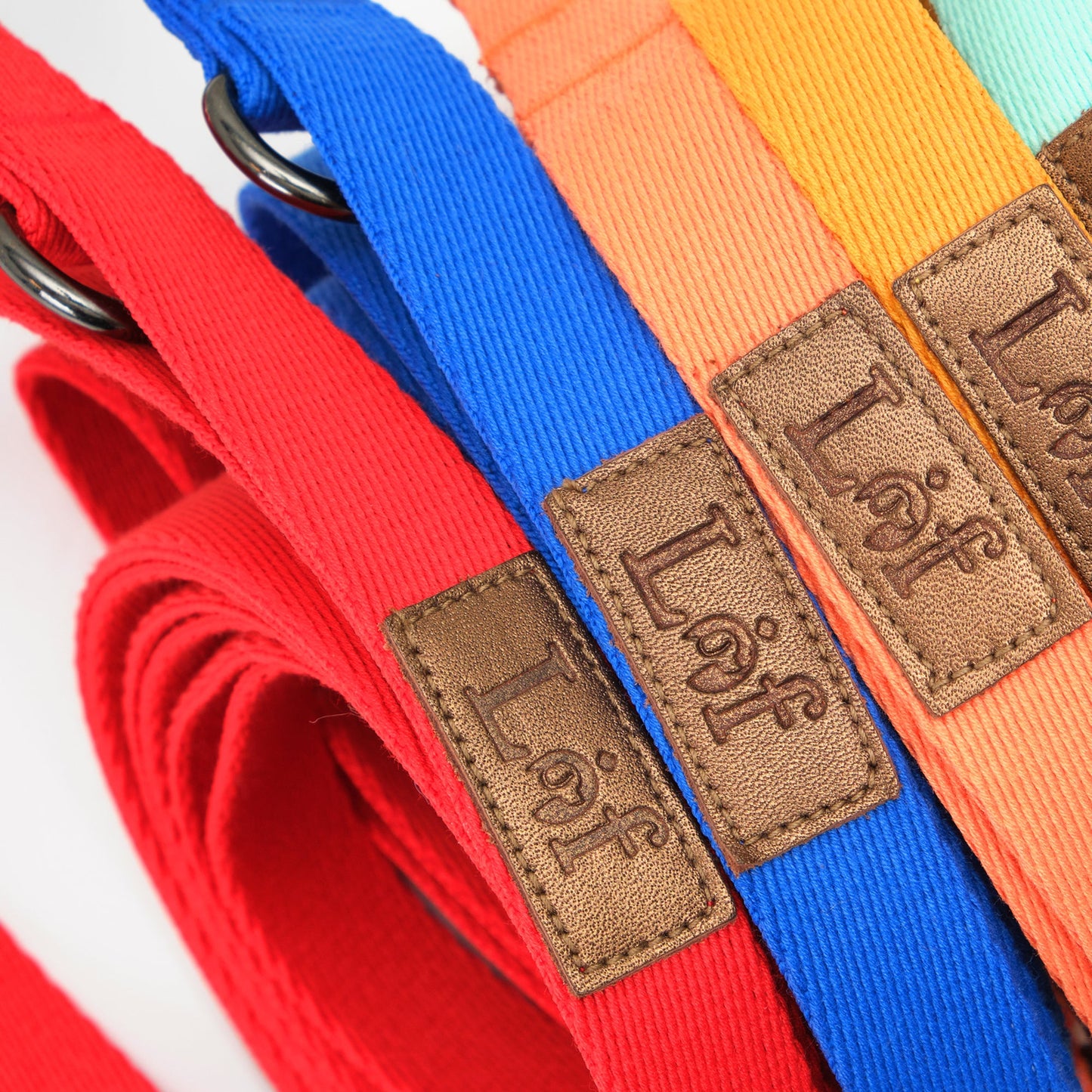 LOF FOLDING LEAD LEASH