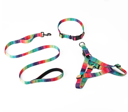 MATCHING LEASH & COLLARS SET