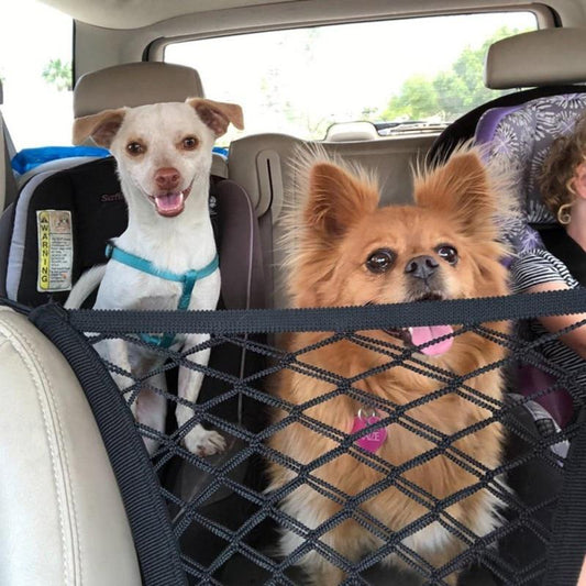 PET CAR NET