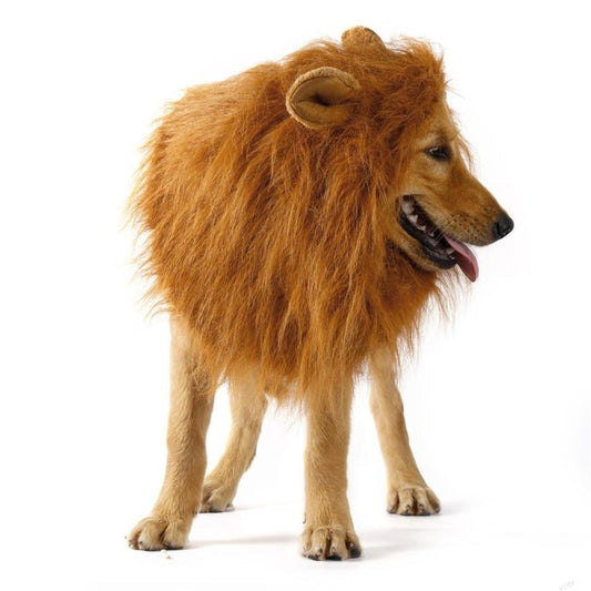 LION THEME DOG WIG